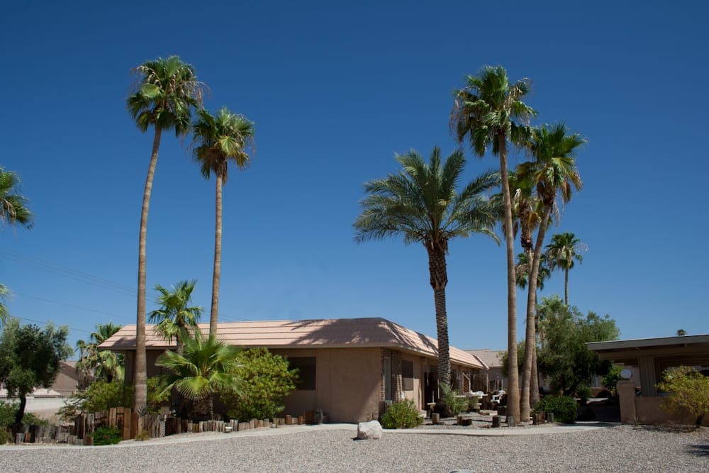 Exterior of Lake Havasu Palms under a clear blue sky