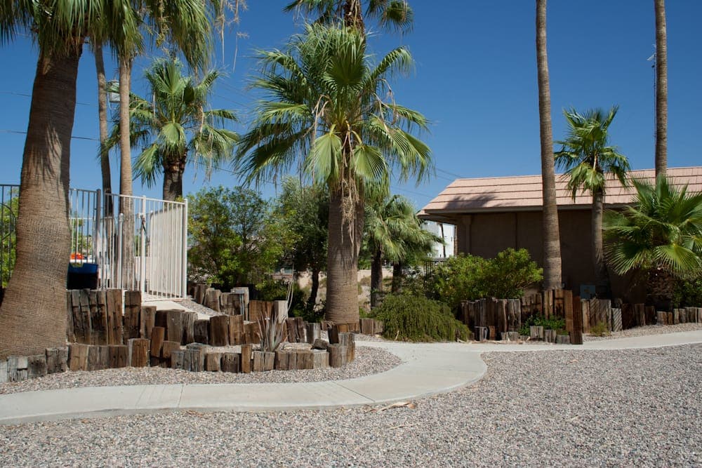 Palm-shaded walkway through the grounds