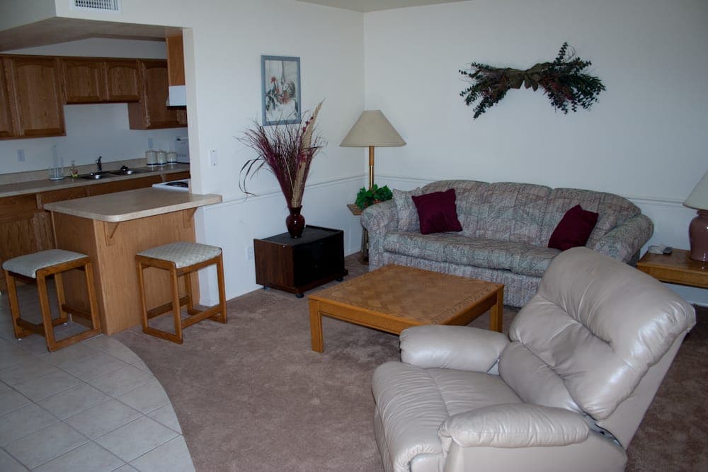 Open-plan furnished living room and kitchen