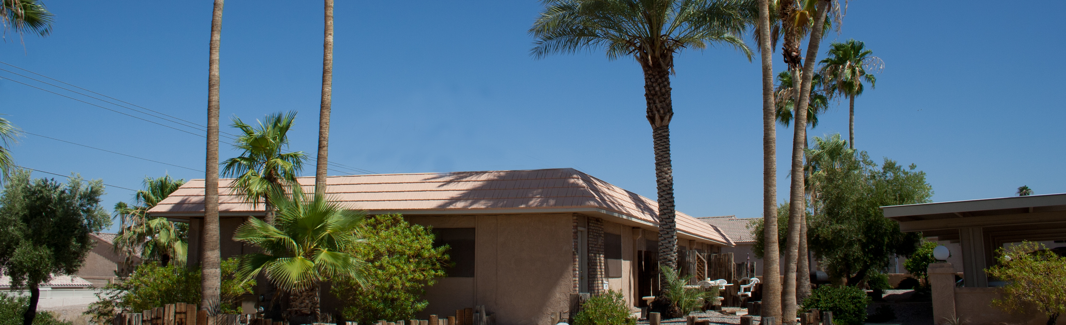 Lake Havasu Palms